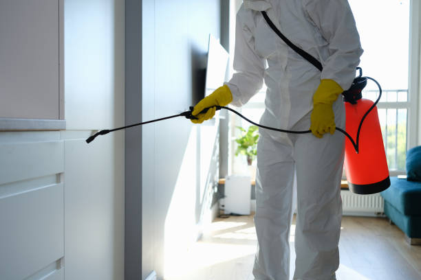 Mold Removal Process in Caledonia, MI